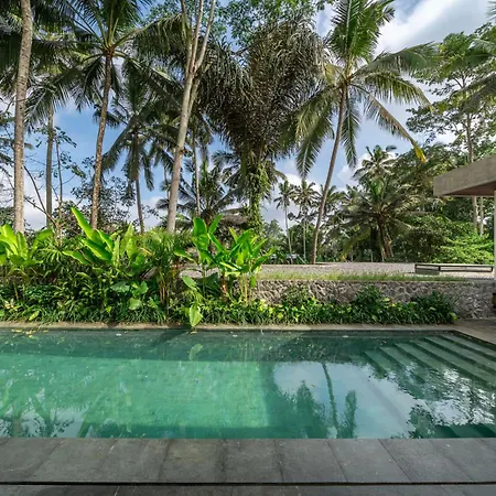 X9 - Promo - Brand New Villa - 3Bdr - Jungle - Ubud